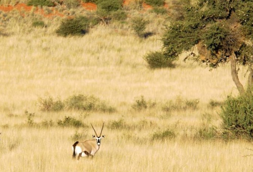 Kalahari Anib Campsite Gondwana Collection Namibia